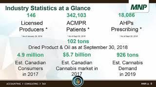 Regulation and Opportunity in the Recreational Cannabis Industry