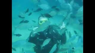 Scuba Diving, Sinan Dağ Tüplü Dalış Kemer-Antalya