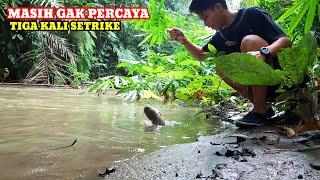 TAK TERDUGA IKAN PREDATOR KELUAR . PANCING TERAKHIR LIHAT APA YANG TERJADI..