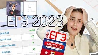 ЕГЭ 2023 || подготовка, результаты, советы | отзыв на школу НОО и курс СОТОЧКА ПО РУССКОМУ