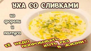 Уха со сливками из форели и палтуса. Уха по-фински