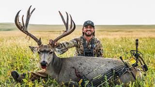 MY BIGGEST! ALBERTA MULE DEER With The New Mathews LIFT X