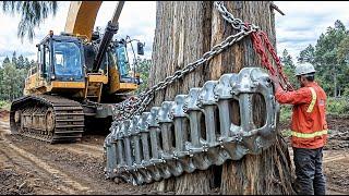 100 Amazing Heavy Equipment Machines Working At Another Level ►3