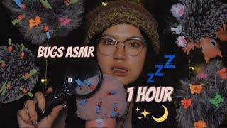 ASMR 1 Hour Bugs Searching ( Plucking With Tweezers, Crunchy Bugs, Scratching )