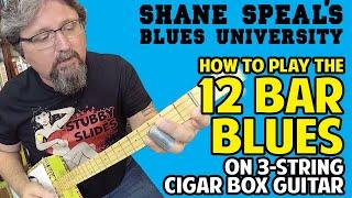 How to Play 12 Bar Blues on Cigar Box Guitar - Shane Speal's Blues University