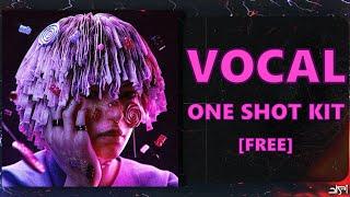 [FREE] VOCAL ONE SHOT KIT - [DREAM] 2023 | female vocal samples