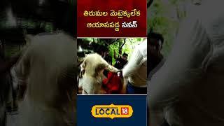 Pawan Kalyan struggles to walk on tirumala steps | Pawan Tirupati Tour | Janasena  #local18shorts