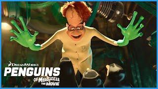 Penguins vs. Dave!?  | Penguins of Madagascar | DreamWorks Madagascar