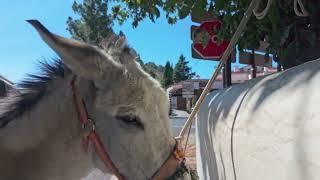 Cruz de Tejeda in Gran Canaria - why should you visit?