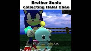 Sonic's halal collection #sonic #memes