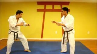 Shorin Ryu Karate applications