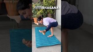 Tittibhasana | Advanced Pose #yoga #practice #trending