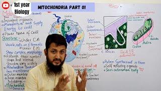 Mitochondria | Mitochondria structure and function | part 01