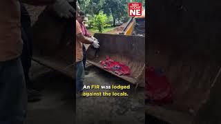 Dog brutally killed in Guwahati