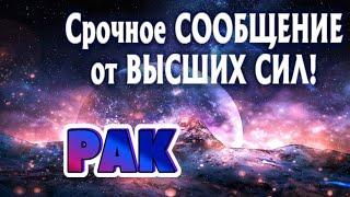 РАК  СРОЧНОЕ СООБЩЕНИЕ от ВЫСШИХ СИЛ Таро Расклад онлайн