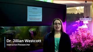 Master of Technology Management (Aquaculture Technology)