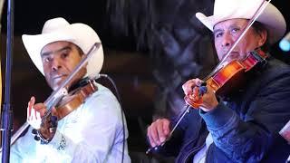 vicent velazquez Huapango Arribeño