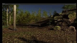 Ivy Field_1