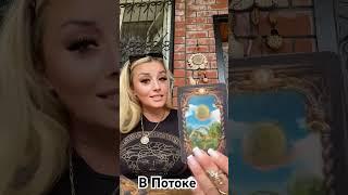 #tarot #shortsvideo #топ #таро #для личных раскладов #+79181509078