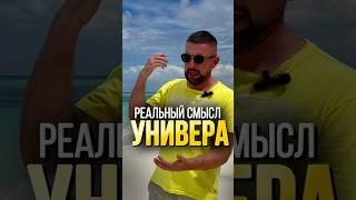 НУЖНО ЛИ СЕЙЧАС ВЫСШЕЕ ОБРАЗОВАНИЕ? #саморазвитие #советы