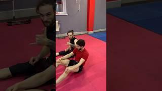 Pass guard / back take / arm bar / triangle