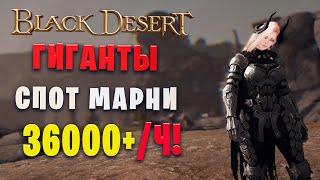 Гиганты спот марни 36000+ | Страж в Наследии| Giants Guardian! (Black Desert)