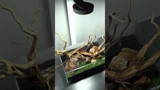 Dooa Neoglass Air 30x18x12