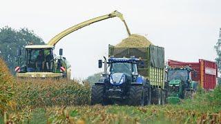 Mais Silage 2024 | Krone BiG X 630 + New Holland + John Deere | Nikkels