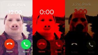 JOHN PORK CALLS AT 12 NOON, 12AM, 3AM...