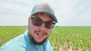 JTAC Farms: Taranis Flight 2