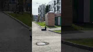 Кто то заказал еду и пошел заказать еду в кафе. Где скидка 50% при заказе еды на вынос!Узнай в ком