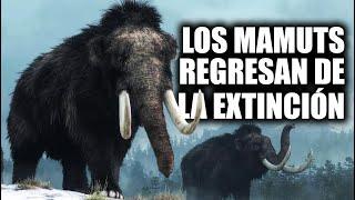 Noticia de ÚLTIMA HORA! Podrían REGRESAR a LA VIDA al MAMUT LANUDO!