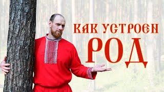 Как устроен РОД? РОДовая система!