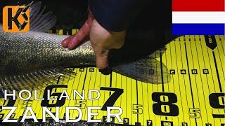 ZANDERANGELN in HOLLAND | Bellyboot und Ufer Action!!!