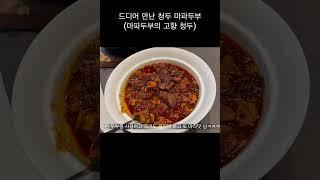 드디어 만난 리얼 마파두부ㅜㅜ #travel #청두 #마파두부 #사천요리 #태계일주 #쓰촨 #중국여행