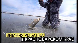 Зимняя рыбалка которую стоит посмотреть.  Жерлицы ломаются.