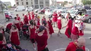 The Holyland Hash House Harriers