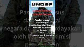 United Nations Special Forces - UNOSF  #fakta #militaryindonesia #military #shorts