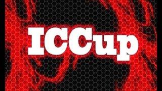 Где скачать и как установить ICCup Launcher