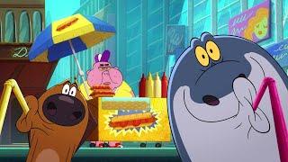 Zig & Sharko | Zig & Sharko Open Shop! (Season 2) BEST CARTOON COLLECTION | New Episodes in HD