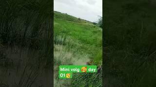 My first mini vlog|| mini vlog day 1 ||#shorts​ #minivlog​ #myfirstvlog​ #myfirstvlogviral​ #1