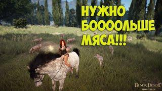 Самый лучший спот по сбору мяса Black Desert Online.