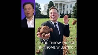 Musk smoothes things over with White House by attacking Sergio Gor