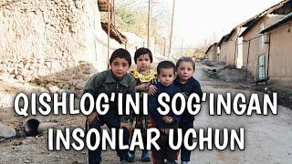 QISHLOQNING BAHORI | QISHLOG‘INI SOG‘INGANLAR UCHUN, QISHLOQNI SOG‘INGANLAR UCHUN