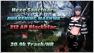 Hexe Sanctuary | Awakening Maehwa 312AP(AFTER BUFFS) | 20.9k/Hr Yellow | Black Desert