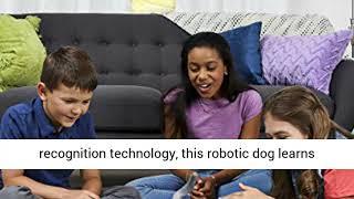 zoomer Playful Pup, Responsive Robotic Dog with Voice Recognition & Realistic Motion, For Ages 5 &