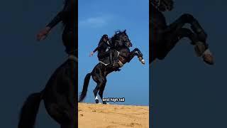Unveiling the Secrets of the Legendary Arabian Horse!