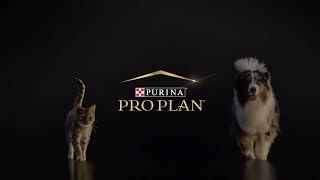 PURINA® PRO PLAN®. Вибір надзвичайних власників для їхніх надзвичайних улюбленців.