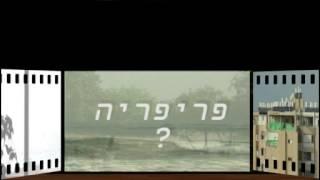 אשדוד פריפריה ? גלית פלורנץ