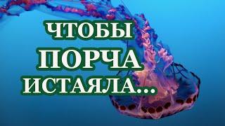 Чтобы порча истаяла